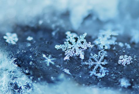 Snowflakes Beautiful Winter Pictures, Fb Cover Photos, Fb Cover, Facebook Timeline Covers, Snow Flakes, Timeline Covers, Fb Covers, Winter Beauty, Snow And Ice