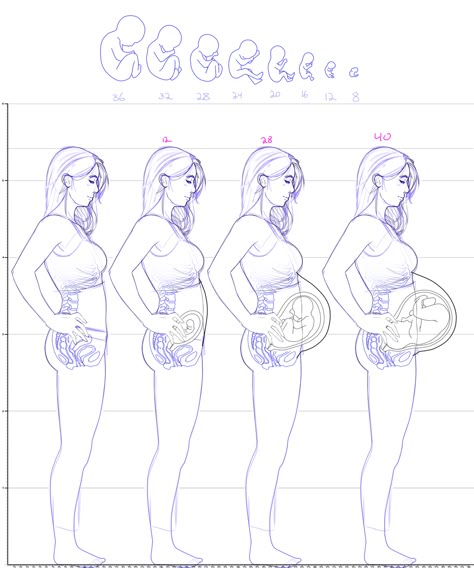 Chubby Body Reference Drawing, Pregnant Drawing, Pregnancy Drawing, Toddler Drawing, Anime Pregnant, Pregnancy Art, Drawing Body Poses, Woman Sketch, Body Drawing Tutorial