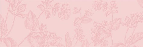 Basic Twitter Header, Pink Aesthetic Notion Cover, Pink Notion Banner, Pink Widget Long Horizontal, Notion Covers Pink, Light Pink Twitter Header, Aesthetic Header Notion, Pink Notion Icon, Pink Notion Cover