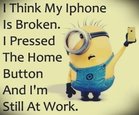 Humor Disney, Funny Minion Pictures, Funny Minion Memes, Minion Pictures, Minion Jokes, Minions Love, A Minion, Funny Minion Quotes, Minion Quotes