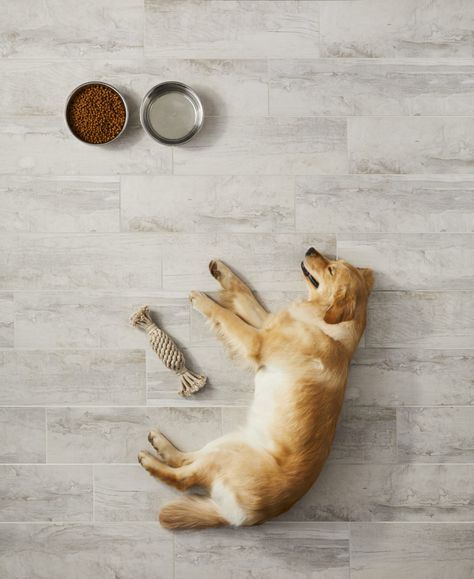 Best Flooring For Dogs, Pet Friendly Flooring, Natural Stone Flooring, The Tile Shop, Best Flooring, Wood Look Tile, House Tiles, Porcelain Floor Tiles, Porcelain Flooring