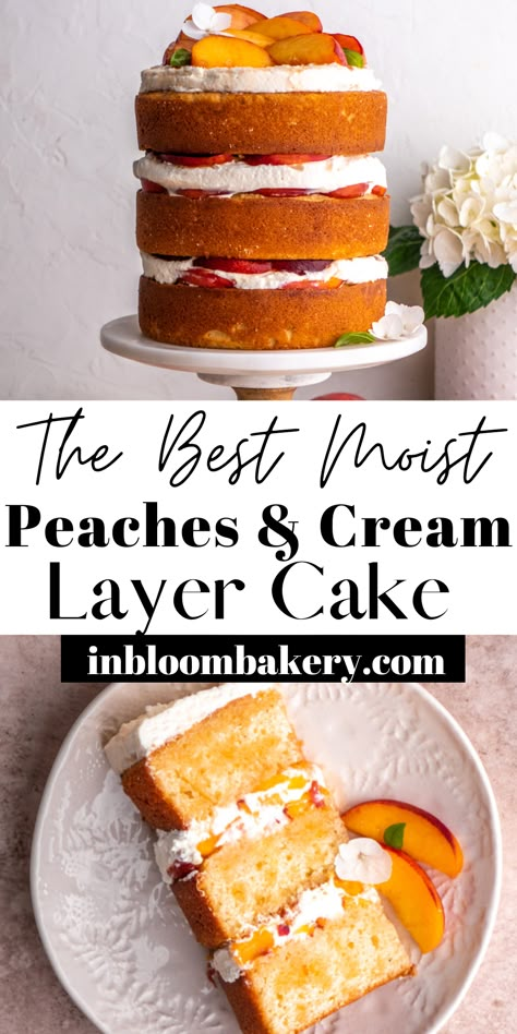 This is a moist and tender vanilla cake filled with fresh peaches and vanilla bean whipped cream topped with fresh peach syrup. Vanilla Peach Cake Recipe, Peach Chantilly Cake, Peach Cake With Fresh Peaches, Peaches And Cream Layer Cake, Peaches N Cream Cake, Vanilla Cake With Peach Filling, Tres Leches Cake With Peaches, Peaches And Cream Cake Filling, Peach Pie Cake