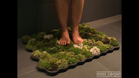 The moss carpet is like bringing home a piece of freedom. It is fluffy, relaxing and when you step on it, it makes you dream. Moss Shower Mats, Moss Bathroom, Shower Plants, Moss Bath Mat, Moss Rug, Bathroom Red, Bathroom Plants, Trendy Bathroom, Shower Mat