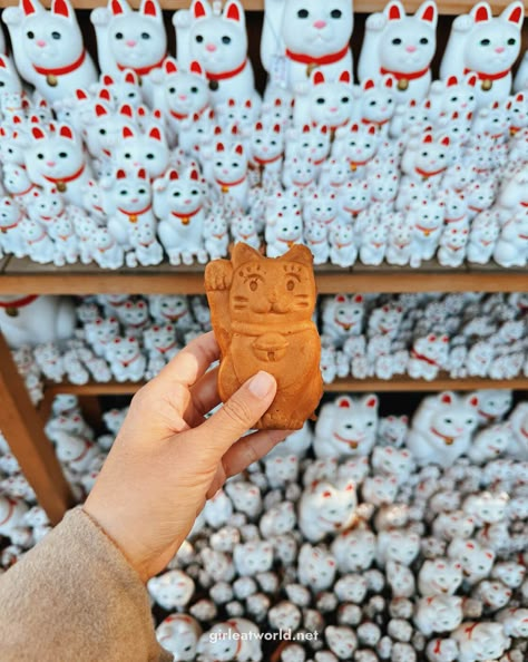 Gotokuji: Visiting the Lucky Cat Temple in Tokyo — Girl Eat World Japan Photo Ideas, Seoul Vibe, Vacation Japan, Tokyo Winter, Japanese Vibe, Tokyo Temple, Japan Travel Photography, Japan Honeymoon, Japanese Culture Art