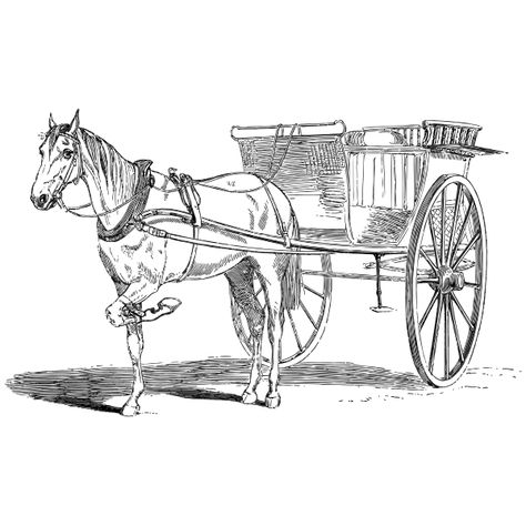 Vintage Horse And Carriage Line Art | Free SVG Horse And Wagon, Book Maps, Carriage Horse, Cartoon Story, Garage Logo, Vinyl Decals Cricut, Horse Svg, Carriage Driving, Decals Cricut