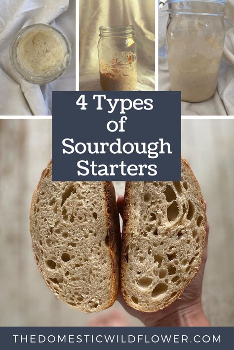 4 Types of Sourdough Starter Bread Scoring, Healty Dinner, Bread Starter, Sourdough Starter Recipe, Loaf Of Bread, Sourdough Baking, Starters Recipes, Sourdough Recipes, Artisan Bread