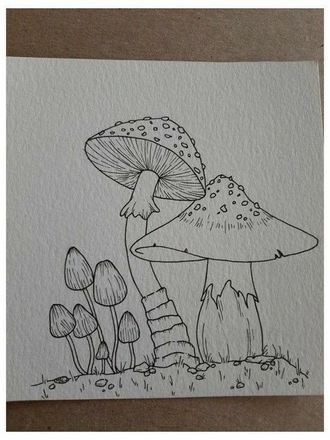 Arte Doodle, Mushroom Drawing, Indie Drawings, Arte Sketchbook, Arte Inspo, Mushroom Art, Art Drawings Sketches Creative, Pencil Art Drawings, Hippie Art