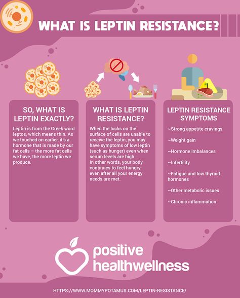 What Is Leptin Resistance? – Positive Health Wellness Infographic Leptin Resistance Diet Food List, Leptin Resistance Diet, Wellness Infographic, Leptin Diet, Hormone Nutrition, Health Website, Hormonal Weight Gain, Vegetable Diet, Leptin Resistance