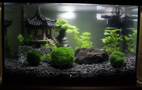 My Japan-themed Marimo tank. :-) Japanese Theme Fish Tank, Black And White Fish Tank Ideas, Japanese Fish Tank Ideas, Asian Aquarium Ideas, Asian Fish Tank, Zen Fish Tank, Japanese Aquascape, Fish Tank Decorations Themes, Japanese Fish Tank