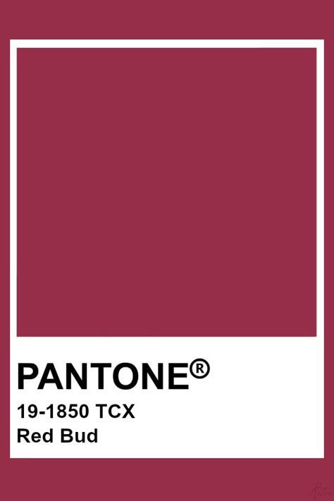 Red Pantone, Pantone Tcx, Palette Winter, Pantone Red, Pantone Color Chart, Flat Color Palette, Pantone Swatches, Pantone Colours, Deep Winter Colors