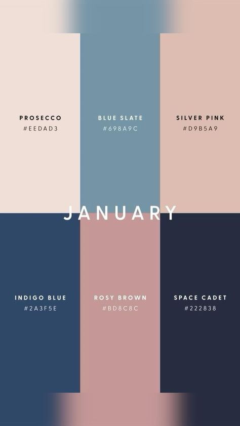 Monthly Colour Palette Wedding Planner Printable, January Colors, Canva Design Ideas, Free Wedding Planner, Pantone Colour Palettes, Wedding Planner Printables, Winter Color Palette, Spring Color Palette, Business Colors