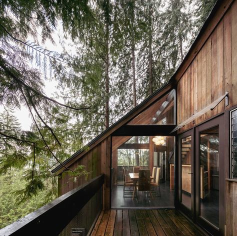 Tree House — West Coast Modern | Real Estate Agents for Architect-Designed Property West Coast Modern Interior, West Coast Beach House, West Coast Contemporary Homes, West Coast House, West Coast Contemporary, West Coast Modern, Patio Addition, Coast House, Modern Real Estate