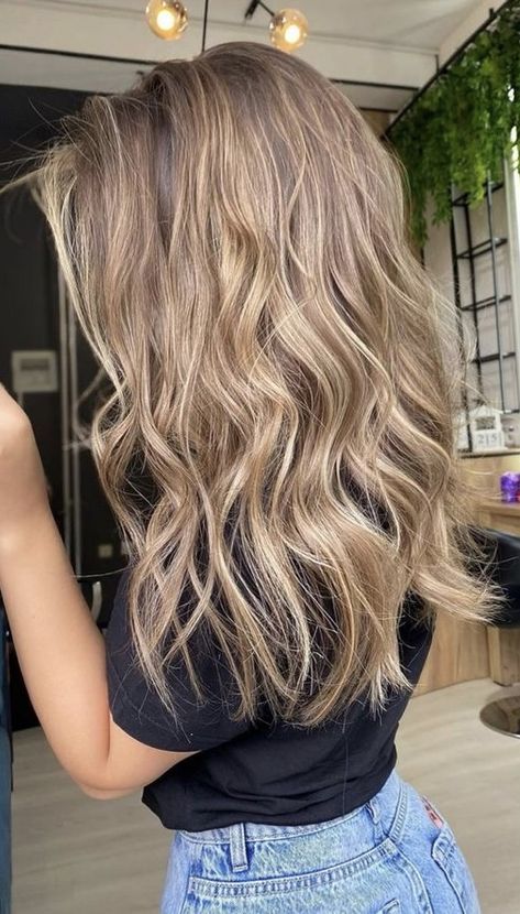 Light Brown Balayage Blonde Dark Roots, Blonde Highlights For Light Brown Hair, Full Foil Blonde Highlights Brown Hair, Teddy Blonde Balayage, Soft Teddy Bear Bronde, Teddy Blonde Highlights, Blonde To Bronde Fall, Teddy Blonde Hair Color, Teddy Hair Color