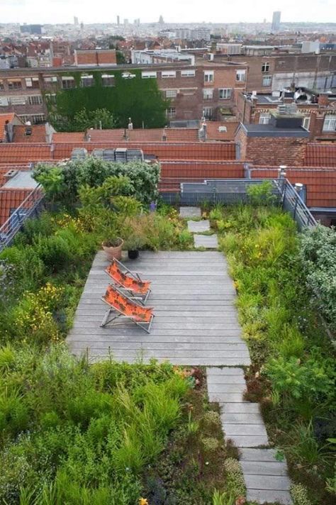 www.1001gardens.org/2014/02/urban-roof-terrace/  When nature conquer rooftop! I love this urban rooftop terrace, a cool place to relax in this world of concrete! Garden Ideas To Make, Elevated Garden, Porch And Balcony, Rooftop Deck, Terrace Design, Rooftop Garden, Apartment Garden, Balcony Design, Roof Garden