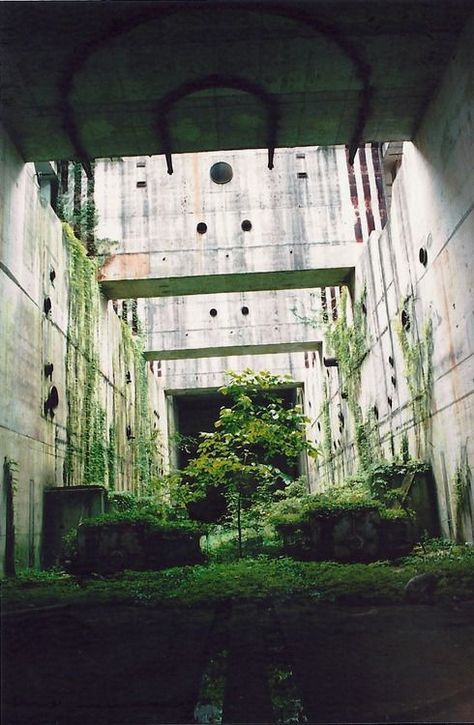 Urban Overgrowth, Lots Of Plants, Apocalypse Aesthetic, Lost Garden, Brutalism Architecture, Garden Of Eden, Brutalism, Pretty Places, Green Aesthetic