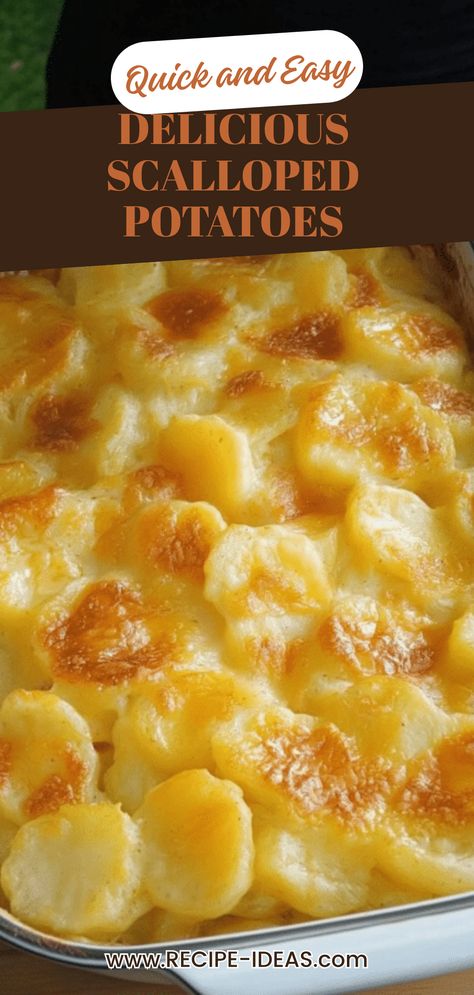 An enticing image of creamy scalloped potatoes, showcasing layers of sliced potatoes and cheese, perfect for a tasty side dish or comfort food. Scalloped Potatoes Cream Cheese, Recipe For Scalloped Potatoes Simple, Cream Cheese Scalloped Potatoes, Scalloped Potatoes With Canned Potatoes, Easy Scalloped Potatoes Recipe Simple, Scalloped Potatoes Heavy Cream, Easy Scallop Potatoes Recipes, How To Make Scalloped Potatoes, Scalloped Potatoes For 2