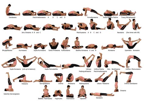 Seated Poses, Backbends and Closing Poses Ashtanga Yoga Poses, Seated Yoga Poses, Vinyasa Yoga Poses, Seated Yoga, Yoga Poses Chart, Ashtanga Vinyasa Yoga, Yoga Ashtanga, Basic Yoga Poses, Yoga Poses Names