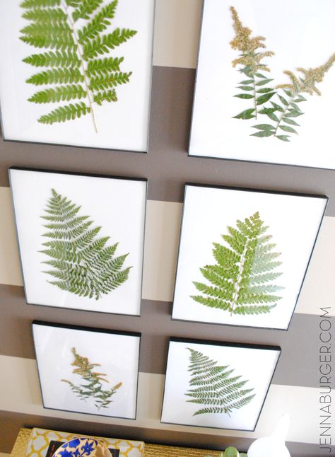 Decorate with Nature: Create Fern Art using plant clippings from your yard.  Dry them out and frame!