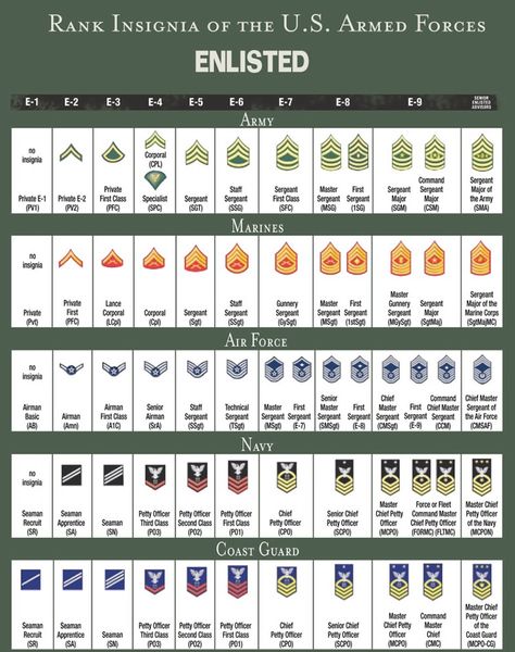 RANK STRUCTURE AND INSIGNIA OF ENLISTED MILITARY PERSONNEL - ALL BRANCHES OF US MILITARY SERVICE Army Ranks, Military Ranks, Military Records, Military Insignia, Staff Sergeant, Ayat Alkitab, Military Love, United States Military, Military Personnel