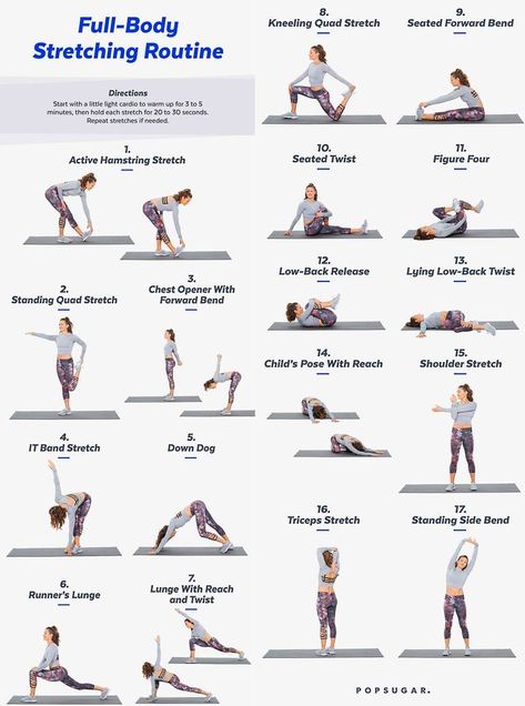 Dragon Boating, Full Body Stretching Routine, Stretches Before Workout, Post Workout Stretches, Body Stretching, Workout Gym Routine, Stretching Routine, Morning Yoga Routine, Full Body Stretch