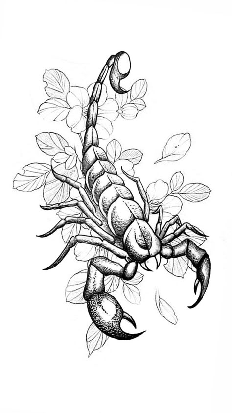 Scorpio Chest Tattoo Female, King Kobra Tattoo, Scorpion Small Tattoo, Tattoo Portfolio Ideas Inspiration, Scorpion Tattoo Drawing, Scorpion Tattoo Stencil, How To Draw A Scorpion, Scorpion Tattoo Linework, Scorpio Tattoos For Women