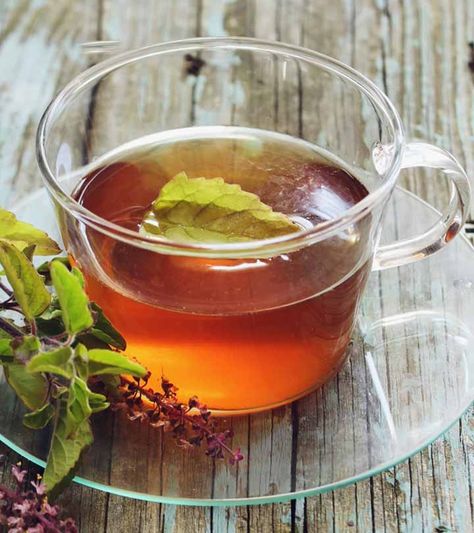 Basil Tea Recipe, Tulsi Tea Benefits, Holy Basil Benefits, Chia Tea, Benefits Of Basil, Holy Basil Tea, Benefits Of Chia, Basil Tea, Tulsi Tea