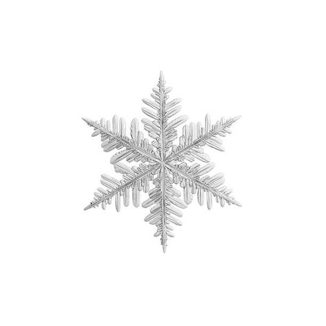 Winter Pngs Aesthetic, Cute Icons Christmas, Aesthetic Pictures Png, Snowflake Png Aesthetic, Christmas Items Png, Christmas Widgets White Background, Png Christmas Images, Christmas Phone Decor, Winter Png Aesthetic