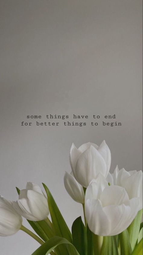 #wallpaper #tulips #quotes Tulips With Quotes Wallpaper, Tulips Meaning Quotes, Tulip Background Aesthetic, Tulips With Quotes, Tulips Quotes Inspiration, Ipad Wallpaper Aesthetic Quotes, Simple Wallpaper Quotes, Minimalist Wallpaper Quotes, Cute Tulips Wallpaper