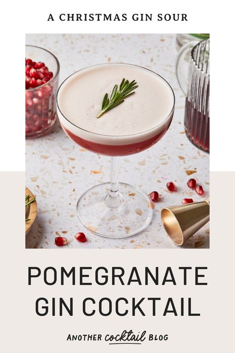 Pomegranate Gin Fizz, Pomegranate Gin Cocktail, Gin Sour Cocktail Recipes, Pomegranate Sour, Plum Gin, Pomegranate Gin, Pomegranate Cocktails, Tart Flavors, Gin And Prosecco