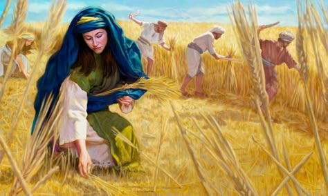 Ruth humbly picking up barley behind the workers in the field to support herself and Naomi. Ruth Bible, Ruth And Naomi, Biblical Stories, Women Of The Bible, Bible Illustrations, Lds Art, Bible Images, True Faith, Bible Women