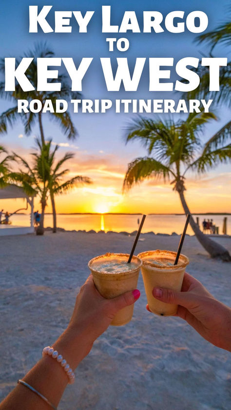 Embark on the ultimate tropical journey from Key Largo to Key West with our exclusive itinerary Dive into the crystal-clear waters of Key Largo's coral reefs, then savor fresh seafood delights at local waterfront eateries. Cruise along the iconic Overseas Highway, stopping at hidden gems like Islamorada for a taste of laid-back island life. Key West Hidden Gems, Stock Island Key West, Florida Vacation Destinations, Florida Keys Road Trip, Florida Travel Destinations, Key Largo Florida, Fl Keys, Florida Camping, Spring Break Vacations