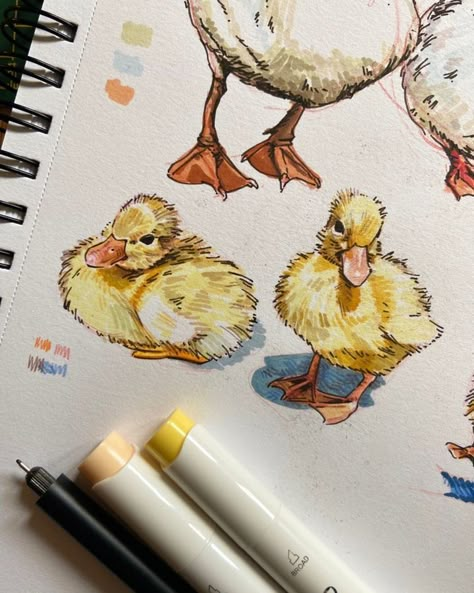 Fun Animal Drawings, Sketch Ideas Colorful, Marker Art Animals, Colorful Art Sketches, Drawing Page Ideas, Ducklings Drawing, Duckling Sketch, Watercolour And Pen Art, Cute Marker Drawings