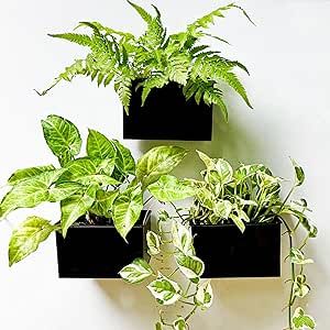 LaLaGreen Wall Planter - 3 Pack, 6 Inch Wall Mount Planters for Succulents Black, Rectangular Hanging Metal Flower Pot, Long Window Boxes Fence Air Plants Holders Floating Garden Shelf for Deck Indoor Window Sill Planter, Wall Mount Planter, Planter Shelves, Wall Plants Indoor, Gardening Vertical, Garden Shelf, Planters For Succulents, Metal Wall Planters, Indoor Plant Wall