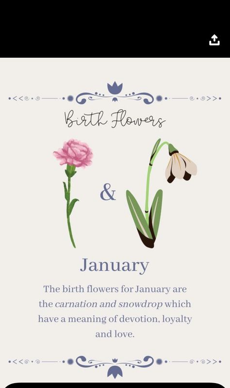 Birthday Month Flowers, January Birth Flowers, Botanical Sketchbook, April Flowers, Birth Flower Tattoos, Flower Meanings, Birthday Blessings, Diy Jewelry Inspiration, Flower Names