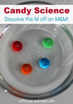 Candy Science for Kids: M&M Experiment M&m Science Experiment, M&m Experiment, Letter M Science Experiment, Candy Science Experiments, Science Experiments Kids Preschool, Candy Science, Experiments Kids, Kid Science, Science Club