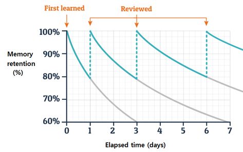 Normal Vital Signs, Study Like Rory Gilmore, Retain Information, Spaced Repetition, Types Of Learners, Selling Strategies, Avoid Distractions, Fun Facts About Yourself, Study Techniques