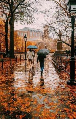 Poem #poetry #Poetry #amreading #books #wattpad Autumn Rain, Fall Beauty, Washington Square Park, Walking In The Rain, Autumn Beauty, City Street, Fall Pictures, Seasons Of The Year, Autumn Cozy