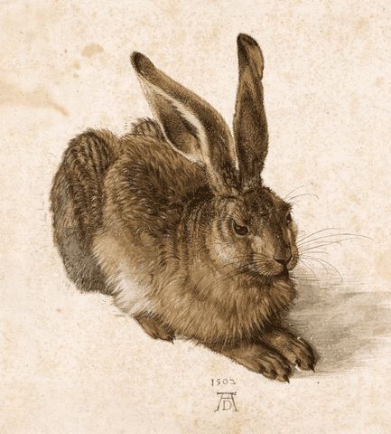 via GIPHY Durer Paintings, Albrecht Durer Paintings, Hare Watercolour, Wayne Thiebaud, Watership Down, Albrecht Dürer, Albrecht Durer, Auguste Rodin, Louise Bourgeois