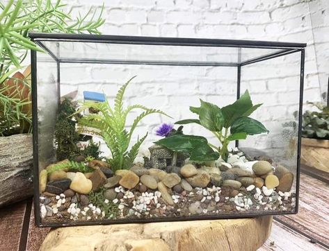 You can make either an open or closed terrarium in a few easy steps. You will need a fish tank or aquarium and ingredients to form a base layer, along with soil, plants, decorations, and a cover if you're using one. Terrariums need water and filtered sunlight to thrive. Repurpose Aquarium Tanks Ideas, Diy Terrarium Stand, How To Make A Terrarium In A Fish Tank, Terrarium In Fish Tank, Fish Tank Plant Terrarium, How To Make A Terrarium, Make A Greenhouse, Making A Terrarium, Terrarium Stand