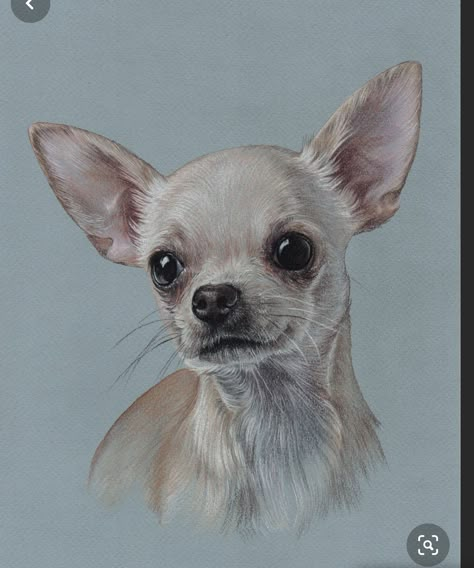 Dog Paintings Easy, Chihuahua Drawing, Cute Dog Drawing, Pet Portrait Paintings, Chihuahua Art, Dog Canvas Art, Paintings Easy, Drawing Dog, Pastel Paper