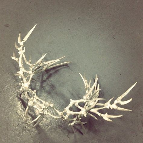 A closeup look at the silver antler/bone crown, designed by Eero Hintsanen for our Fall 2013 collaboration. Viking Bone Crown, Bone Crown Diy, Bone Headpiece, Hogan Mclaughlin, Viking Crown, Bone Crown, Antler Crown, Bone Crafts, Bone Art