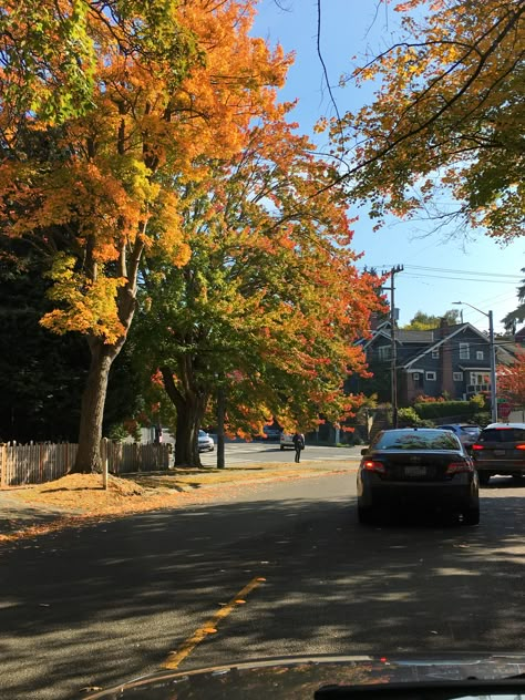 Queen Anne Seattle Wa. Fall Queen Anne Seattle, Seattle Autumn, Washington State Fall, Aesthetic Autumn Wallpapers, Fall In Seattle, Seattle Fall, Autumn Wallpapers, Fall Wallpaper Aesthetic, Wallpaper Aesthetic Wallpaper