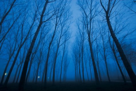 scary Mercy Aesthetic, Long Wallpaper, Stairs Background, Visual Stim, Blue Aesthetics, Amber Liu, Concept Background, Tell Me A Story, Light Blue Aesthetic