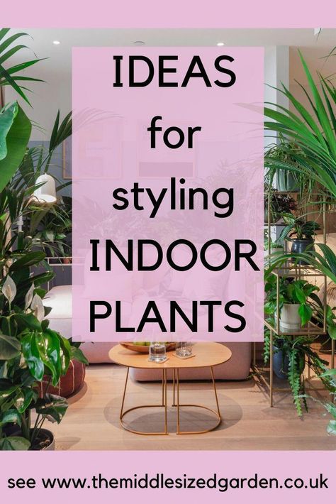 Indoor Plants Decor Living Room, Plant Decor Living Room, Houseplants Decor, Indoor Plants Styling, Houseplants Low Light, Indoor Plant Wall, Plant Installation, Large Indoor Plants, Living Room Plants