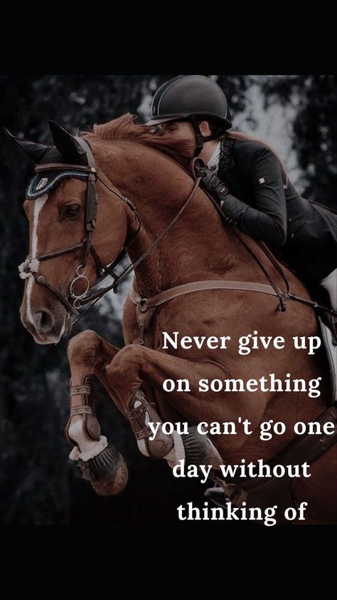 Horse Wallpaper With Quotes, Quote About Horses, Equestrian Life Quotes, Horses Quotes Inspirational, Equestrian Quotes Inspirational, Horse Quotes Meaningful, Horseback Riding Quotes, Cute Horse Quotes, Horses Quotes