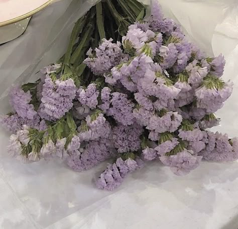 Lilac Aesthetic, Purple Theme, Lavender Aesthetic, Lavender Haze, Nothing But Flowers, Pastel Purple, Purple Aesthetic, Home Screen, Pretty Flowers