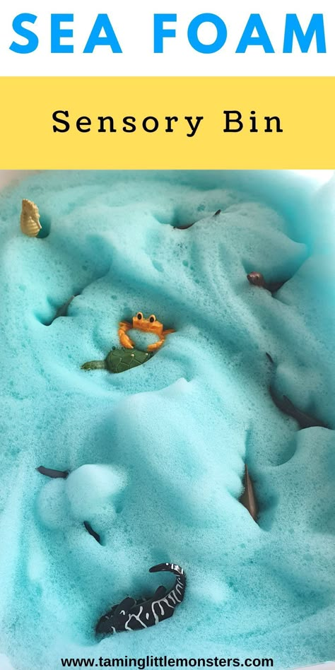 Sea Sensory Play, Sea Foam Sensory Bin, Ocean Sensory Bin Preschool, Ocean Animals Toddler Activities, Aquarium Sensory Bin, Ocean Theme Sensory Play, Sea Animal Sensory Bin, Under The Sea Activities For Preschoolers, Ocean Week Preschool Activities