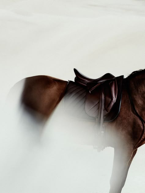 Luxury Equestrian, Photography Sport, Horse Brand, Exclusive Event, Equestrian Aesthetic, Equestrian Chic, Horse Aesthetic, Equestrian Lifestyle, All The Pretty Horses