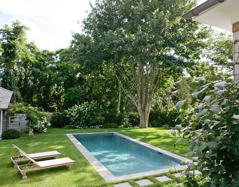 A modest pool design for the small yard - Decoist Backyard Pool Design, Pools For Small Yards, Plunge Pools, Small Swimming Pools, Pool Landscape Design, Above Ground Pool Landscaping, Small Pool Design, Backyard Pool Landscaping, Small Pools