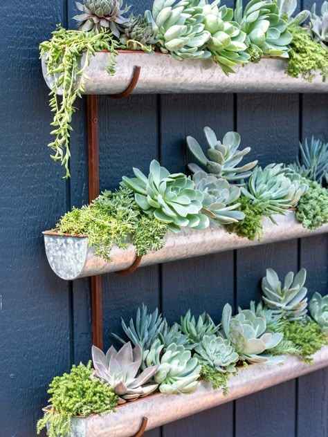 Pot Gantung, Succulent Wall Garden, Trailing Flowers, Tiered Planter, Wall Planters Indoor, Vertical Wall Planters, Succulent Garden Design, Vertical Planter, Vertical Garden Diy